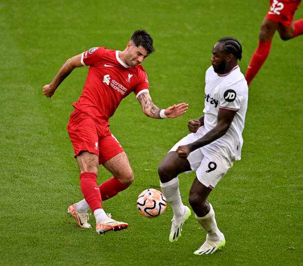 球员阵容 球员阵容