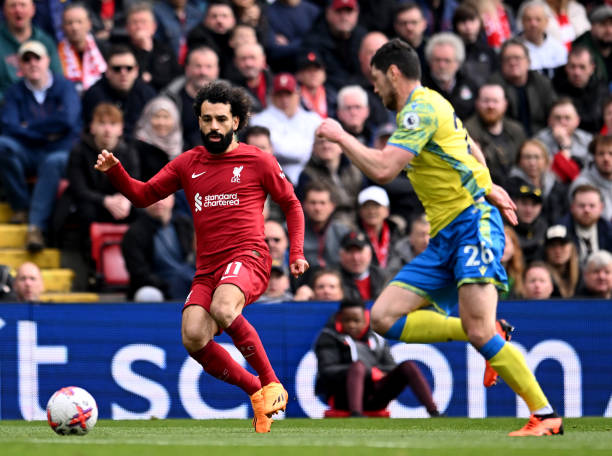 他经历了青 他经历了青